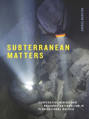 cover image of Subterranean Matters